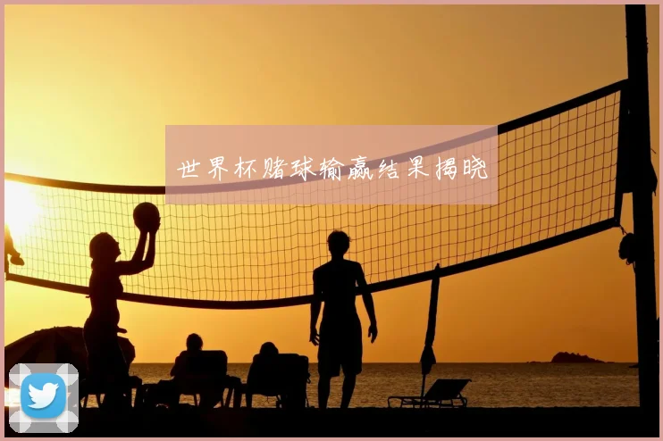 世界杯赌球输赢结果揭晓