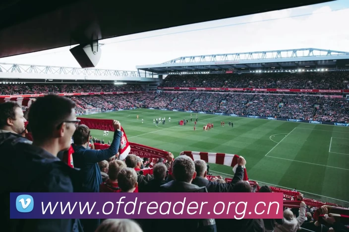 App Interface Preview